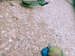 -南京金牛湖风景区