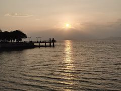 -深圳湾公园(南山区)