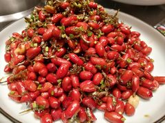 -金掌勺东北菜(格兰晴天店)