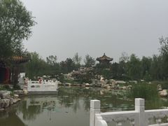 -武清南湖绿博园