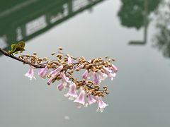 -成都市活水公园