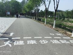 -东郊湿地公园