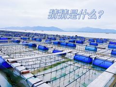 -温岭石塘海边