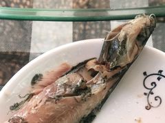 -草根堂农场