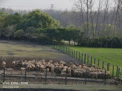 -溱湖国家湿地公园