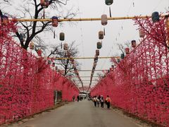 -北京凤凰岭