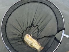 -酷鱼垂钓CLUB(朝阳区博大路店 )