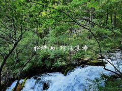 -叠溪松坪沟景区