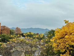 -东钱湖旅游度假区