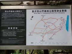 -铁山坪森林公园