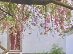 -深圳国际园林花卉博览园