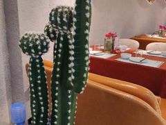 -赵小姐丨新中餐(曲江店)