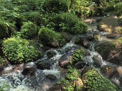 -五营国家森林公园