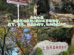 -云碧峰国家森林公园