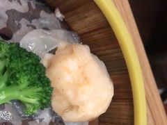 粤港虾饺皇-粤港餐厅(禹州商业广场店)