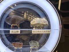 -上海儿童博物馆