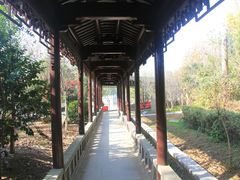 -九龙湖公园