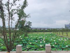 -南京医科大学(江宁校区)