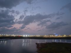 -大湾区中央湿地公园