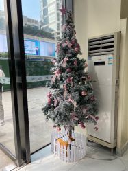 -3AM HAIR SALON染发接发