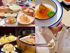 石锅鱼茸角-点都德(华强南店)