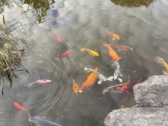 -江宁织造博物馆