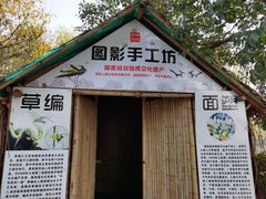 -长兴太湖图影湿地文化园