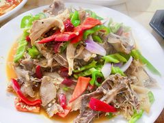 -煲来饱去冷水鱼