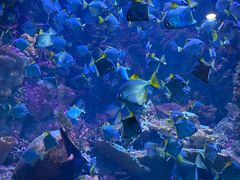 -海合安青岛极地海洋公园