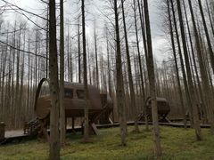 -黄海国家森林公园