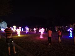 -苏州太湖迷笛