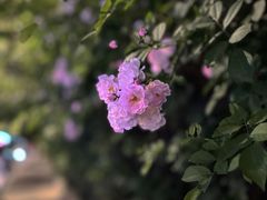 -UNI UNI(环亚凯瑟琳店)