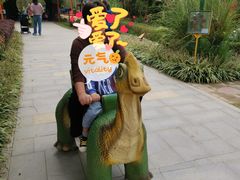 -合肥滨湖国家森林公园