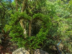 -广州白江湖森林公园