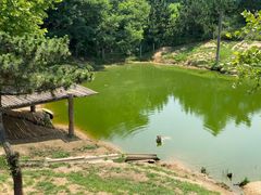 -西霞口神雕山野生动物世界