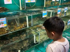 -琼大师东方烤乳猪(亚特兰蒂斯店)