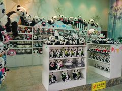 -泉州海丝野生动物世界