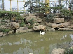 -临沂动植物园