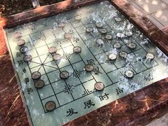 -天鹿湖森林公园