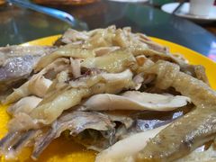 -石岐乳鸽村(南海第三分店)