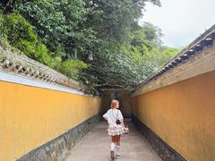 -普陀山风景区-佛顶山