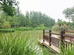 -白鹭湾湿地公园