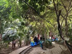 -呀路古热带植物园