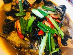 -新白鹿餐厅(城西银泰城店)