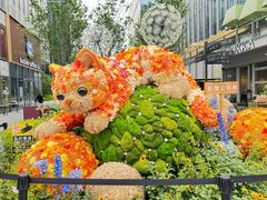 -蜩动儿童运动成长馆(恒生万鹂广场店)