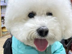 -美联众合动物医院·24h转诊中心
