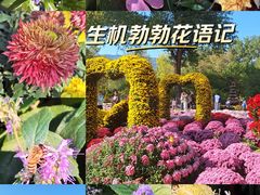 -国家植物园南园