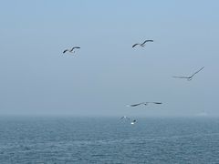 -星海广场