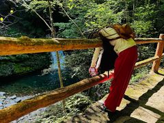 -黎坪国家森林公园