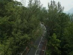 -大埔公路-马料水段香港中文大学(公交站)